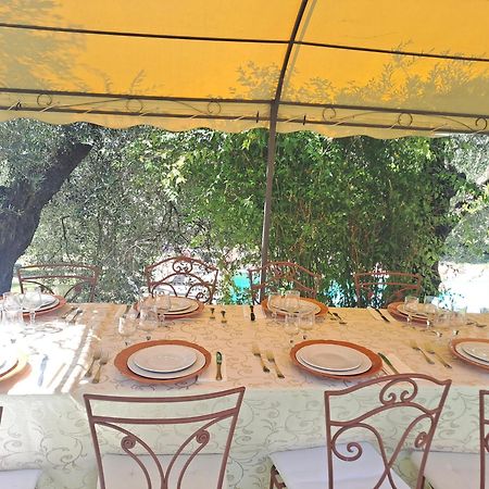 Agriturismo Marinella Amelia Kültér fotó