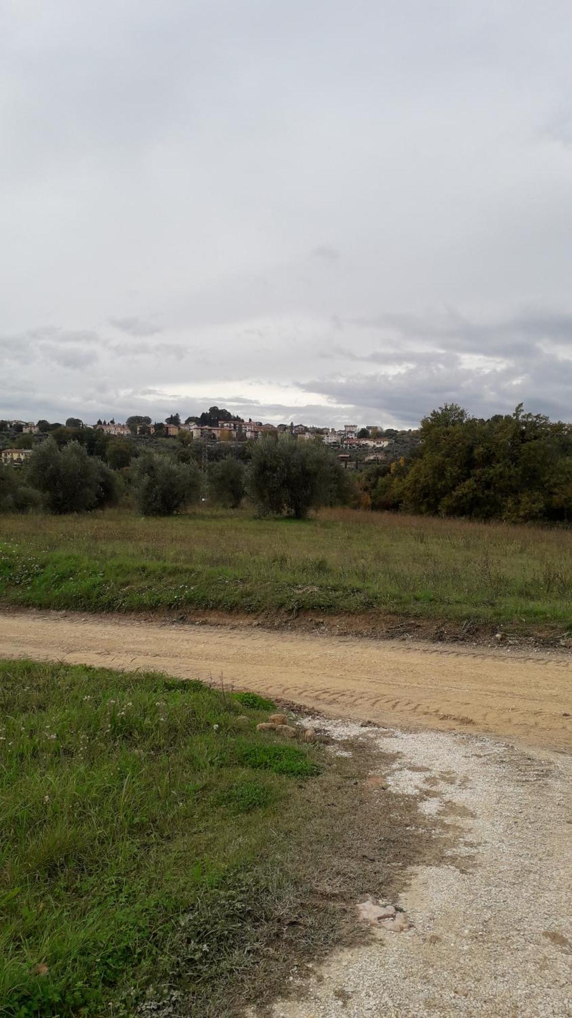 Agriturismo Marinella Amelia Kültér fotó
