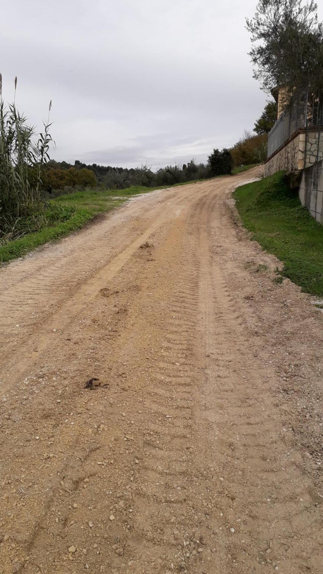 Agriturismo Marinella Amelia Kültér fotó